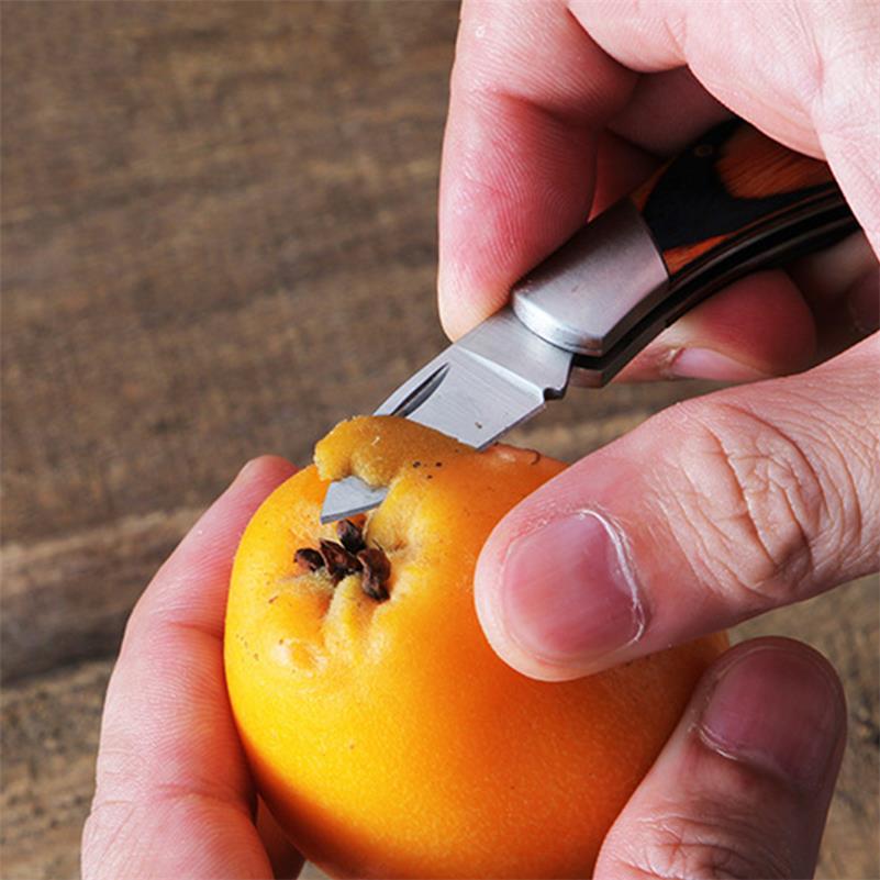 Small Wooden Handle Folding Knife for Keychain Carry