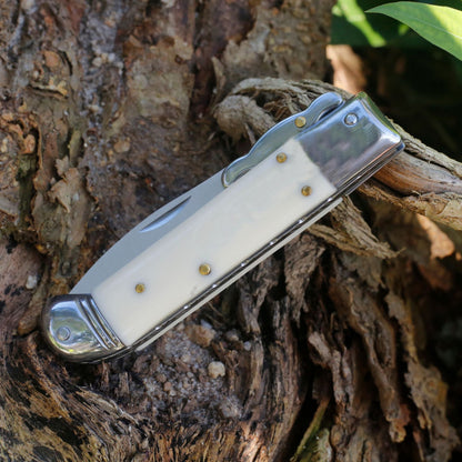 Folding Tactical Knife with Beef Bone Grip for Camping and Outdoor Use